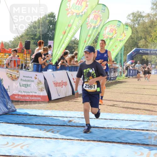 08.09.2024 - Airport Race Strokosch-Dieckow http://msf.ph/oto/6986045 08.09.2024 12:16:54 Ziel 158, 688, 2561, 2562, 2598, 2780 meine-sportfotos.de