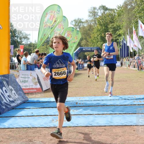 08.09.2024 - Airport Race Strokosch-Dieckow http://msf.ph/oto/6986208 08.09.2024 12:04:52 Ziel 687, 2632, 2666, 2845, 2846, 2857 meine-sportfotos.de