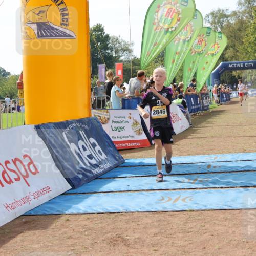 08.09.2024 - Airport Race Strokosch-Dieckow http://msf.ph/oto/6986244 08.09.2024 12:04:59 Ziel 687, 2666, 2845, 2857 meine-sportfotos.de