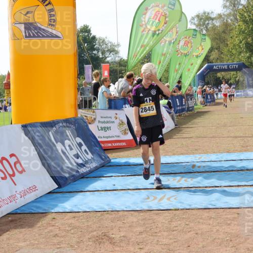 08.09.2024 - Airport Race Strokosch-Dieckow http://msf.ph/oto/6986256 08.09.2024 12:05:00 Ziel 687, 2666, 2845, 2857 meine-sportfotos.de