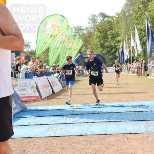 08.09.2024 - Airport Race Strokosch-Dieckow http://msf.ph/oto/6986355 08.09.2024 12:05:26 Ziel 1227, 2526, 2534, 2659, 2735, 2753, 2862, 3034 meine-sportfotos.de