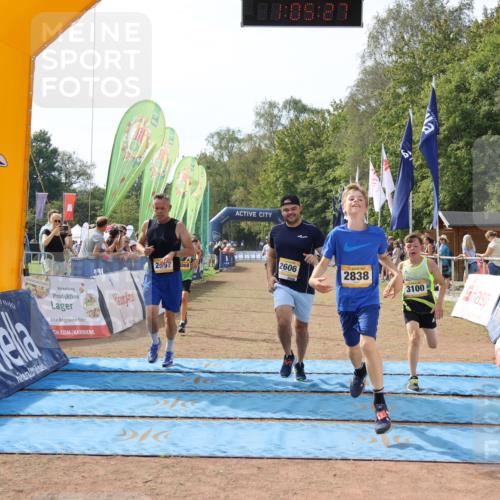 08.09.2024 - Airport Race Strokosch-Dieckow http://msf.ph/oto/6986542 08.09.2024 12:06:08 Ziel 582, 669, 2527, 2557, 2606, 2838, 3058, 3099, 3100, 3129 meine-sportfotos.de