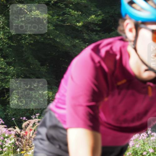 08.09.2024 - Stadtparktriathlon Zöllner http://msf.ph/oto/6988100 08.09.2024 10:07:10 Radfahren 215, 216, 256, 261, 262 meine-sportfotos.de