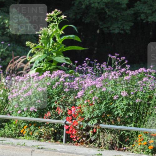 08.09.2024 - Stadtparktriathlon Zöllner http://msf.ph/oto/6988699 08.09.2024 10:12:16 Radfahren 211, 217, 227 meine-sportfotos.de