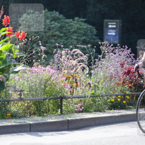 08.09.2024 - Stadtparktriathlon Zöllner http://msf.ph/oto/6989069 08.09.2024 11:12:59 Radfahren 327, 424, 509, 514, 534, 545, 559 meine-sportfotos.de