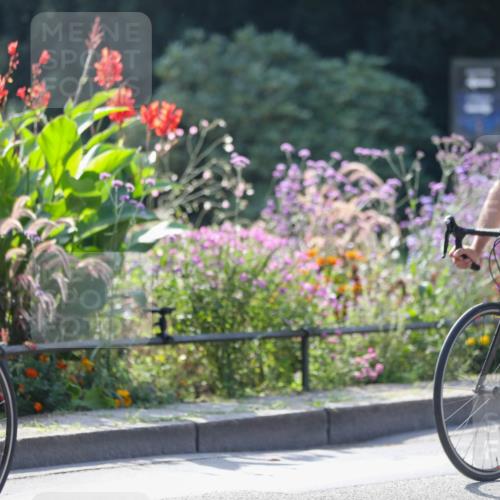 08.09.2024 - Stadtparktriathlon Zöllner http://msf.ph/oto/6989078 08.09.2024 11:12:59 Radfahren 327, 424, 509, 514, 534, 545, 559 meine-sportfotos.de