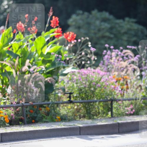 08.09.2024 - Stadtparktriathlon Zöllner http://msf.ph/oto/6989082 08.09.2024 11:13:00 Radfahren 327, 424, 509, 514, 534, 559 meine-sportfotos.de