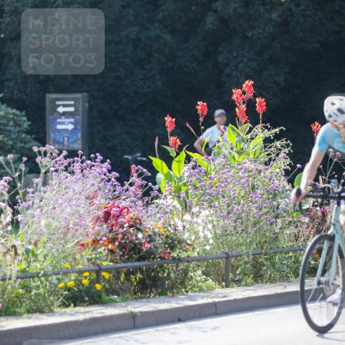 08.09.2024 - Stadtparktriathlon Zöllner http://msf.ph/oto/6989093 08.09.2024 11:13:14 Radfahren 383, 420 meine-sportfotos.de