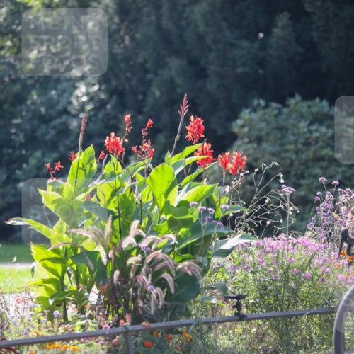 08.09.2024 - Stadtparktriathlon Zöllner http://msf.ph/oto/6989098 08.09.2024 11:13:15 Radfahren 383, 420 meine-sportfotos.de