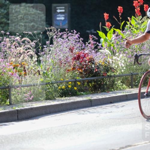 08.09.2024 - Stadtparktriathlon Zöllner http://msf.ph/oto/6989650 08.09.2024 11:19:20 Radfahren 400, 464, 482, 499, 571, 630 meine-sportfotos.de
