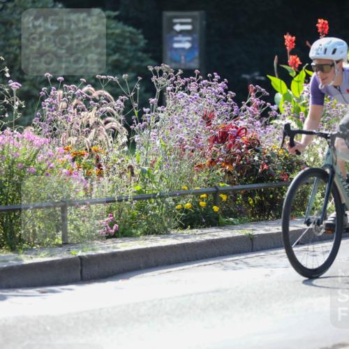 08.09.2024 - Stadtparktriathlon Zöllner http://msf.ph/oto/6989665 08.09.2024 11:19:22 Radfahren 400, 464, 482, 499, 571, 608, 630 meine-sportfotos.de