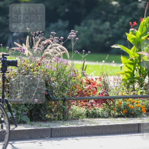 08.09.2024 - Stadtparktriathlon Zöllner http://msf.ph/oto/6989695 08.09.2024 11:19:29 Radfahren 400, 482, 499, 544, 608, 630, 632 meine-sportfotos.de