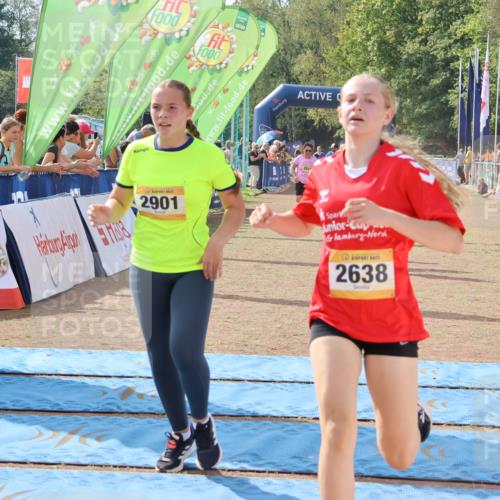 08.09.2024 - Airport Race Strokosch-Dieckow http://msf.ph/oto/6989861 08.09.2024 12:11:03 Ziel 837, 952, 1237, 2584, 2619, 2629, 2638, 2690, 2893, 2901, 3023 meine-sportfotos.de