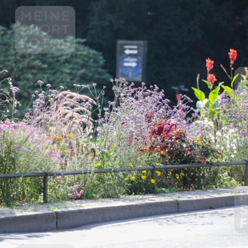 08.09.2024 - Stadtparktriathlon Zöllner http://msf.ph/oto/6989875 08.09.2024 11:20:17 Radfahren 463, 509, 514, 519, 526, 534, 545, 549, 551, 552, 559, 589 meine-sportfotos.de