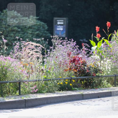 08.09.2024 - Stadtparktriathlon Zöllner http://msf.ph/oto/6989878 08.09.2024 11:20:18 Radfahren 463, 509, 514, 519, 526, 545, 549, 551, 552, 559, 589 meine-sportfotos.de