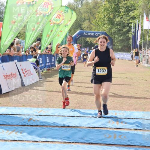 08.09.2024 - Airport Race Strokosch-Dieckow http://msf.ph/oto/6989887 08.09.2024 12:11:06 Ziel 837, 952, 1237, 2584, 2619, 2629, 2638, 2690, 2755, 2893, 2901, 3023 meine-sportfotos.de