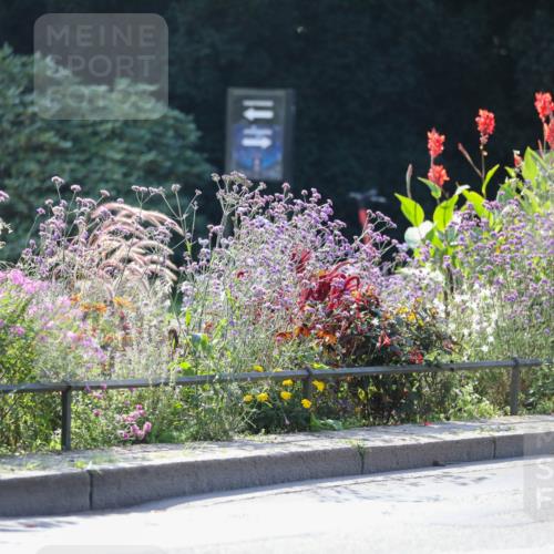 08.09.2024 - Stadtparktriathlon Zöllner http://msf.ph/oto/6989890 08.09.2024 11:20:19 Radfahren 463, 509, 514, 519, 526, 545, 549, 551, 552, 558, 589 meine-sportfotos.de