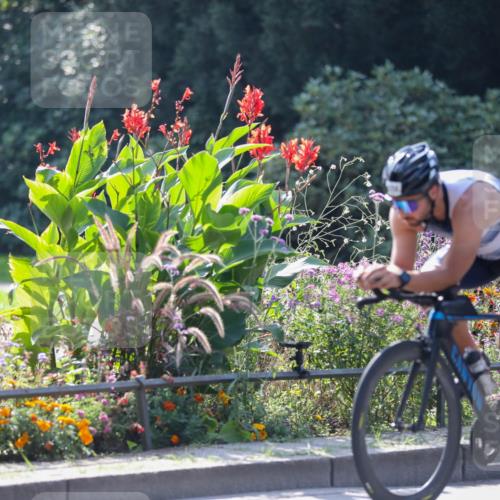 08.09.2024 - Stadtparktriathlon Zöllner http://msf.ph/oto/6989928 08.09.2024 11:20:30 Radfahren 558 meine-sportfotos.de