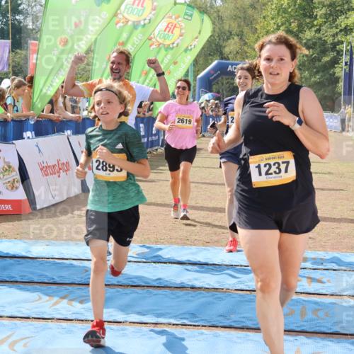 08.09.2024 - Airport Race Strokosch-Dieckow http://msf.ph/oto/6990022 08.09.2024 12:11:07 Ziel 837, 1237, 2584, 2619, 2629, 2638, 2690, 2755, 2756, 2893, 2901, 3023 meine-sportfotos.de