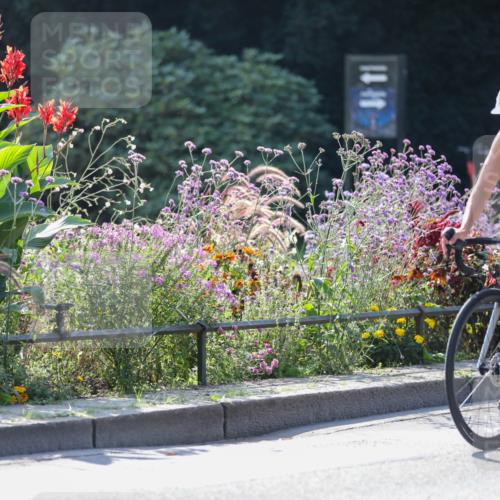 08.09.2024 - Stadtparktriathlon Zöllner http://msf.ph/oto/6990082 08.09.2024 11:21:39 Radfahren 472, 506, 543, 573, 606, 653 meine-sportfotos.de