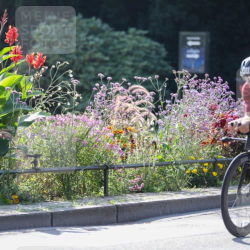 08.09.2024 - Stadtparktriathlon Zöllner http://msf.ph/oto/6990127 08.09.2024 11:21:46 Radfahren 472, 543, 547, 587, 590, 626, 821 meine-sportfotos.de