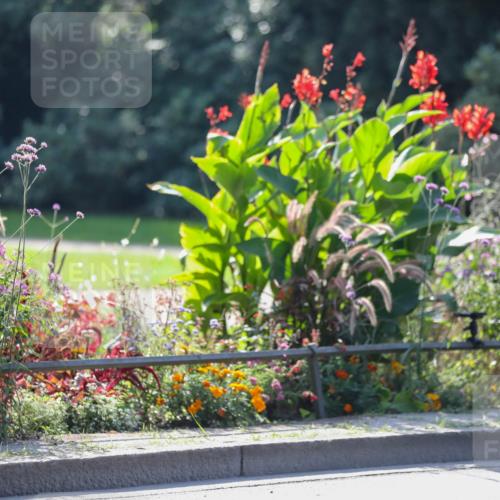 08.09.2024 - Stadtparktriathlon Zöllner http://msf.ph/oto/6990137 08.09.2024 11:21:49 Radfahren 472, 543, 547, 587, 590, 621, 626, 821 meine-sportfotos.de