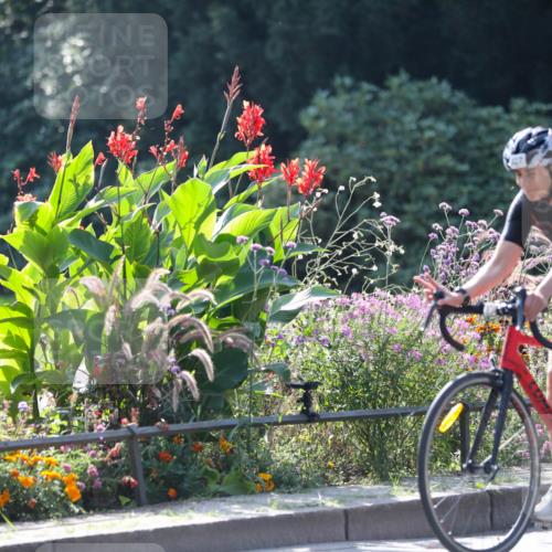 08.09.2024 - Stadtparktriathlon Zöllner http://msf.ph/oto/6990202 08.09.2024 11:22:21 Radfahren 493, 535, 550, 627, 639 meine-sportfotos.de