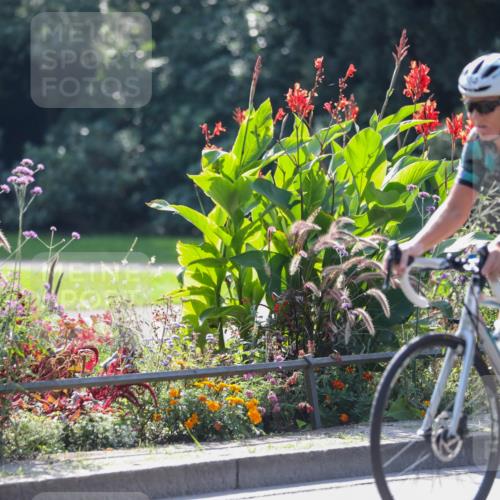 08.09.2024 - Stadtparktriathlon Zöllner http://msf.ph/oto/6990303 08.09.2024 11:23:19 Radfahren 557, 580, 609, 662 meine-sportfotos.de