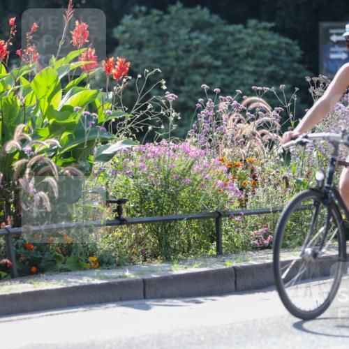 08.09.2024 - Stadtparktriathlon Zöllner http://msf.ph/oto/6990552 08.09.2024 11:25:14 Radfahren 480, 617, 659 meine-sportfotos.de