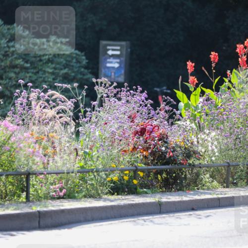 08.09.2024 - Stadtparktriathlon Zöllner http://msf.ph/oto/6990592 08.09.2024 11:25:28 Radfahren 475, 483, 581, 598, 625, 657, 658 meine-sportfotos.de