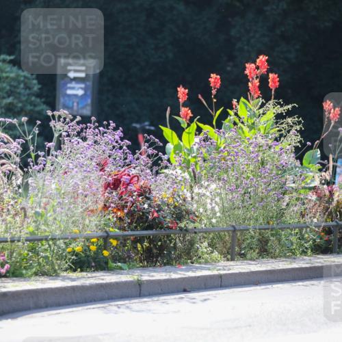 08.09.2024 - Stadtparktriathlon Zöllner http://msf.ph/oto/6990595 08.09.2024 11:25:28 Radfahren 475, 483, 581, 598, 625, 657, 658 meine-sportfotos.de