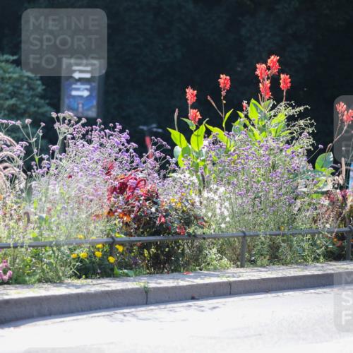 08.09.2024 - Stadtparktriathlon Zöllner http://msf.ph/oto/6990598 08.09.2024 11:25:28 Radfahren 475, 483, 581, 598, 625, 657, 658 meine-sportfotos.de