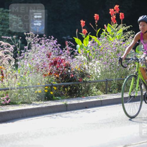 08.09.2024 - Stadtparktriathlon Zöllner http://msf.ph/oto/6990950 08.09.2024 11:27:35 Radfahren 509, 512, 514, 519, 545, 559, 602, 618, 629, 647 meine-sportfotos.de
