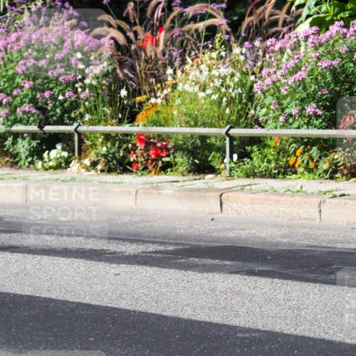 08.09.2024 - Stadtparktriathlon Zöllner http://msf.ph/oto/6991110 08.09.2024 10:23:14 Radfahren 228, 231, 263, 281, 335, 345 meine-sportfotos.de