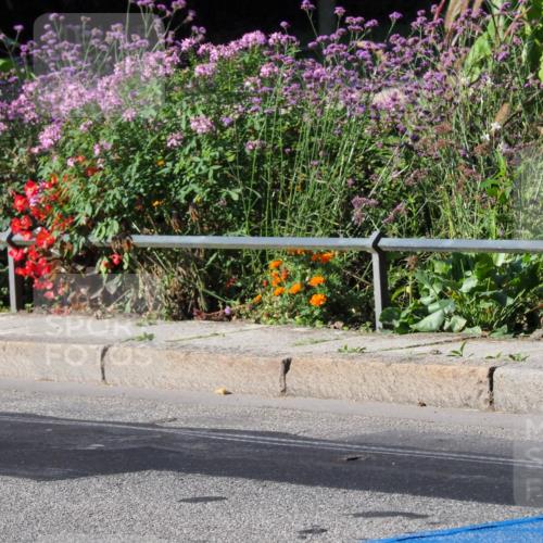 08.09.2024 - Stadtparktriathlon Zöllner http://msf.ph/oto/6991114 08.09.2024 10:23:15 Radfahren 228, 231, 263, 276, 281, 345 meine-sportfotos.de