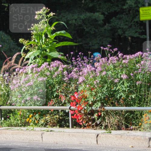 08.09.2024 - Stadtparktriathlon Zöllner http://msf.ph/oto/6991119 08.09.2024 10:23:20 Radfahren 231, 276, 345 meine-sportfotos.de