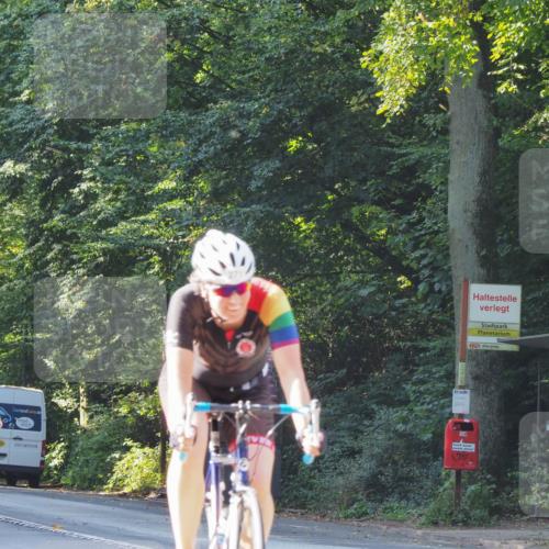 08.09.2024 - Stadtparktriathlon Zöllner http://msf.ph/oto/6991334 08.09.2024 10:24:59 Radfahren 206, 220, 236, 247, 271, 275, 278, 292, 360 meine-sportfotos.de