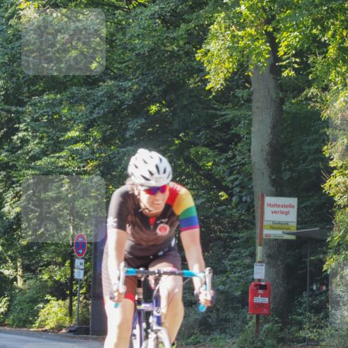 08.09.2024 - Stadtparktriathlon Zöllner http://msf.ph/oto/6991339 08.09.2024 10:24:59 Radfahren 206, 220, 236, 247, 271, 275, 278, 292, 360 meine-sportfotos.de
