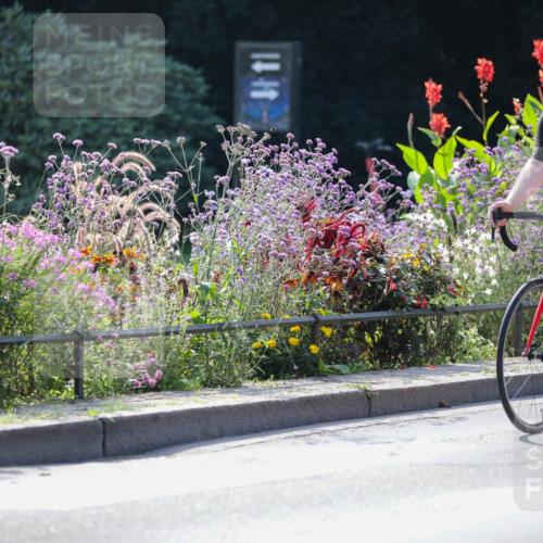 08.09.2024 - Stadtparktriathlon Zöllner http://msf.ph/oto/6991691 08.09.2024 11:34:16 Radfahren 490, 498, 568, 581, 600 meine-sportfotos.de