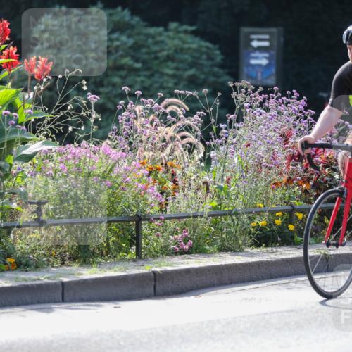 08.09.2024 - Stadtparktriathlon Zöllner http://msf.ph/oto/6991697 08.09.2024 11:34:16 Radfahren 490, 498, 568, 581, 600 meine-sportfotos.de