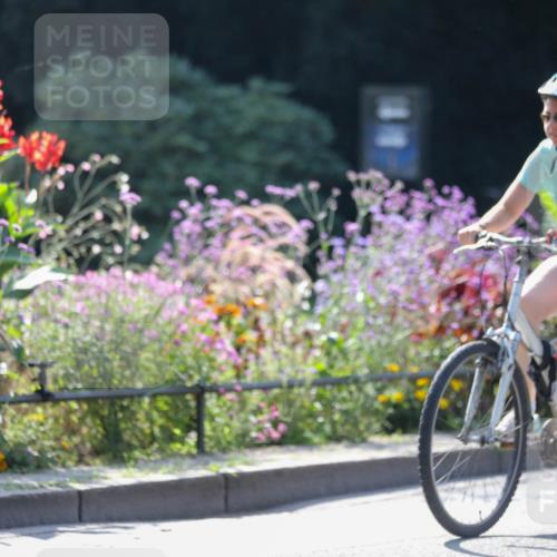 08.09.2024 - Stadtparktriathlon Zöllner http://msf.ph/oto/6991969 08.09.2024 11:38:04 Radfahren 591, 645, 649, 663, 694 meine-sportfotos.de