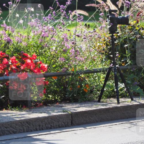 08.09.2024 - Stadtparktriathlon Zöllner http://msf.ph/oto/6992061 08.09.2024 10:28:23 Radfahren 246, 305, 310, 348 meine-sportfotos.de