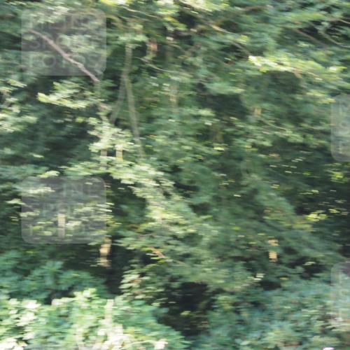 08.09.2024 - Stadtparktriathlon Zöllner http://msf.ph/oto/6992314 08.09.2024 10:29:23 Radfahren 303, 316 meine-sportfotos.de