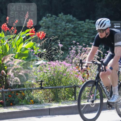 08.09.2024 - Stadtparktriathlon Zöllner http://msf.ph/oto/6992387 08.09.2024 11:45:21 Radfahren 587, 617, 634, 646, 705 meine-sportfotos.de