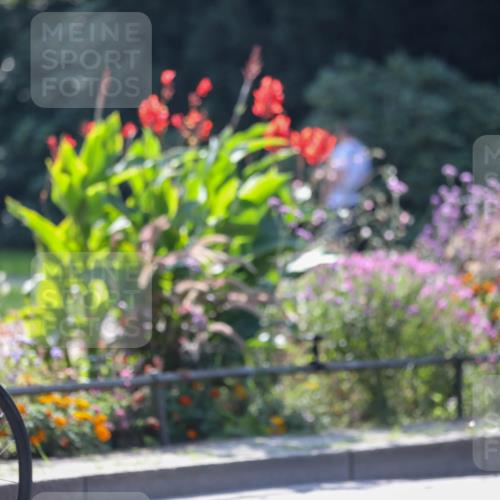 08.09.2024 - Stadtparktriathlon Zöllner http://msf.ph/oto/6992391 08.09.2024 11:45:25 Radfahren 587, 617, 634, 646, 659 meine-sportfotos.de