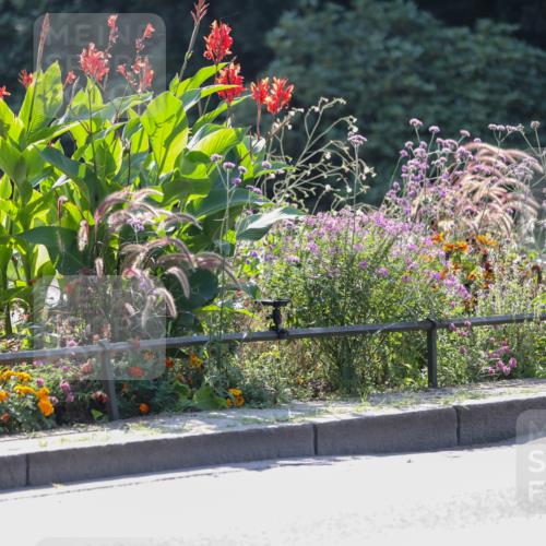 08.09.2024 - Stadtparktriathlon Zöllner http://msf.ph/oto/6992470 08.09.2024 11:46:23 Radfahren 596, 610, 671, 715 meine-sportfotos.de