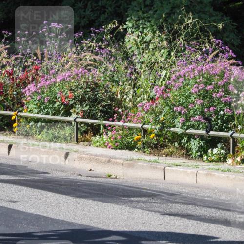 08.09.2024 - Stadtparktriathlon Zöllner http://msf.ph/oto/6994268 08.09.2024 10:42:10 Radfahren 276, 356, 369, 422, 423, 449 meine-sportfotos.de