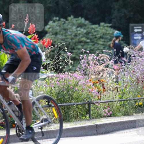 08.09.2024 - Stadtparktriathlon Zöllner http://msf.ph/oto/6995320 08.09.2024 12:06:46 Radfahren 667, 668, 684, 701, 702, 731, 737, 741, 820 meine-sportfotos.de