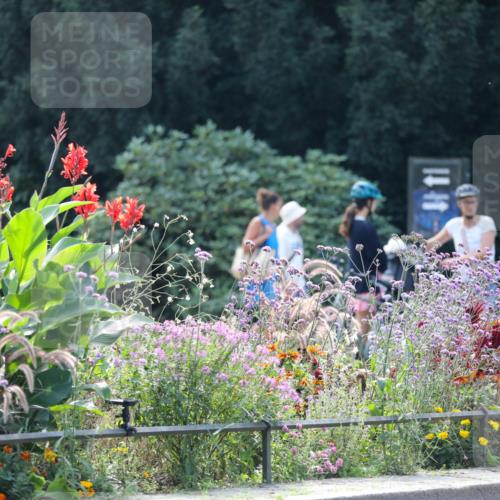 08.09.2024 - Stadtparktriathlon Zöllner http://msf.ph/oto/6995342 08.09.2024 12:06:52 Radfahren 572, 667, 676, 679, 684, 731, 737, 820 meine-sportfotos.de