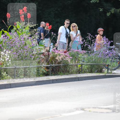 08.09.2024 - Stadtparktriathlon Zöllner http://msf.ph/oto/6996552 08.09.2024 12:19:48 Radfahren 759, 761, 765, 775, 798, 832, 836, 866 meine-sportfotos.de